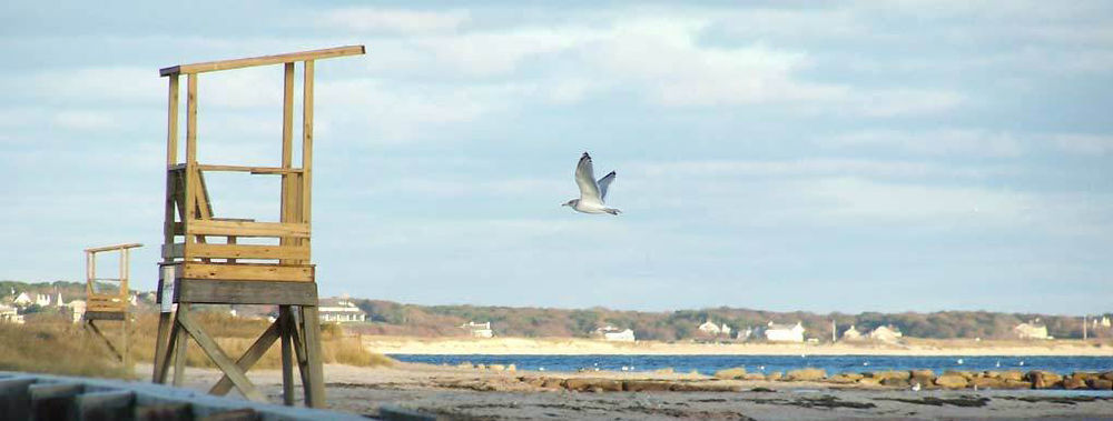 Handkerchief Shoals Inn South Harwich 外观 照片